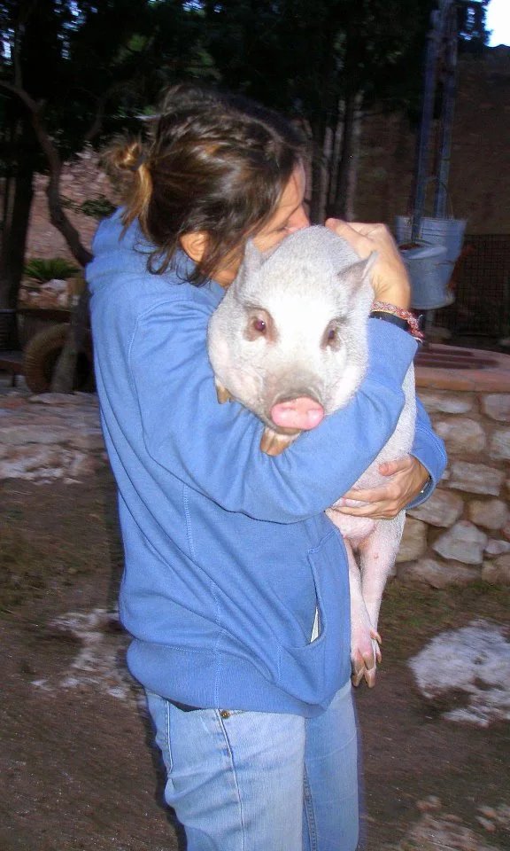 Proteccionista Animal